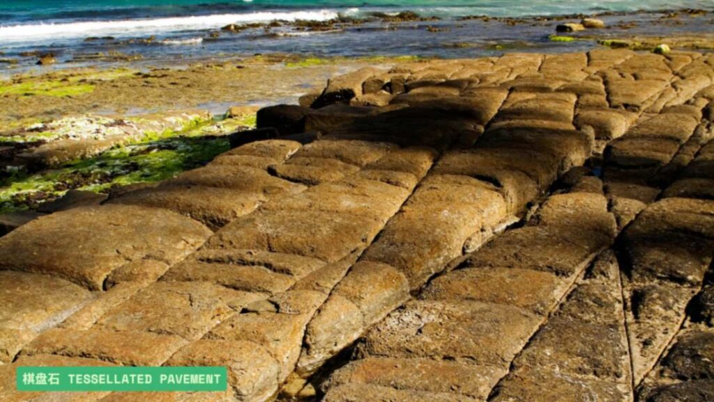 棋盘石 Tessellated Pavement
