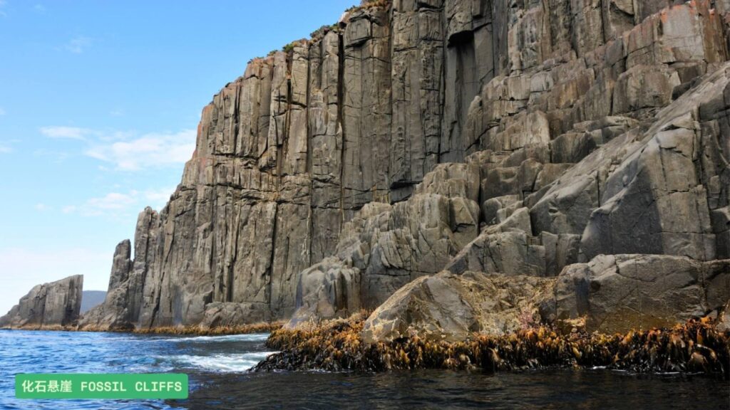 11.化石悬崖 Fossil Cliffs