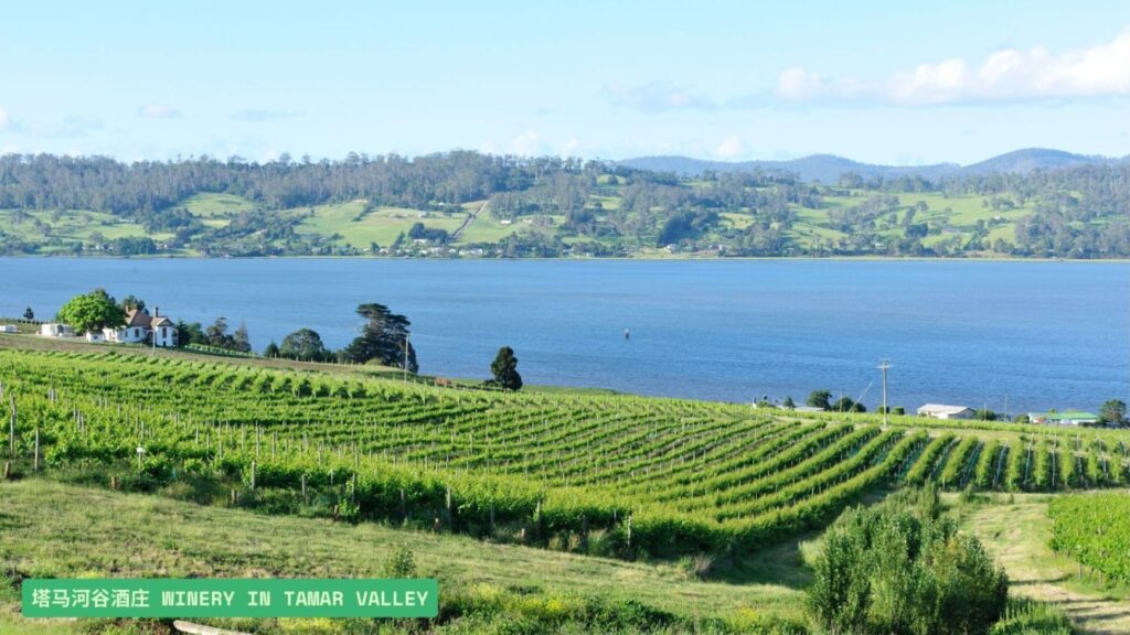 塔马河谷酒庄 Winery in Tamar Valley