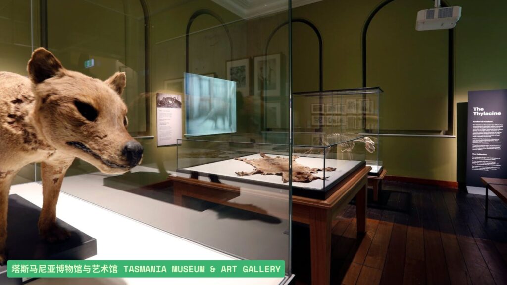 塔斯马尼亚博物馆与艺术馆（Tasmania Museum & Art Gallery）