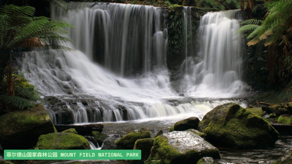 菲尔德山国家森林公园（Mount Field National Park）
