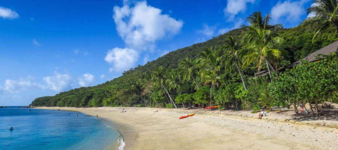 Sunny beach with palm trees at Fitzroy Island, Cairns