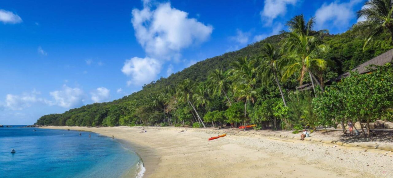 Sunny beach with palm trees at Fitzroy Island, Cairns