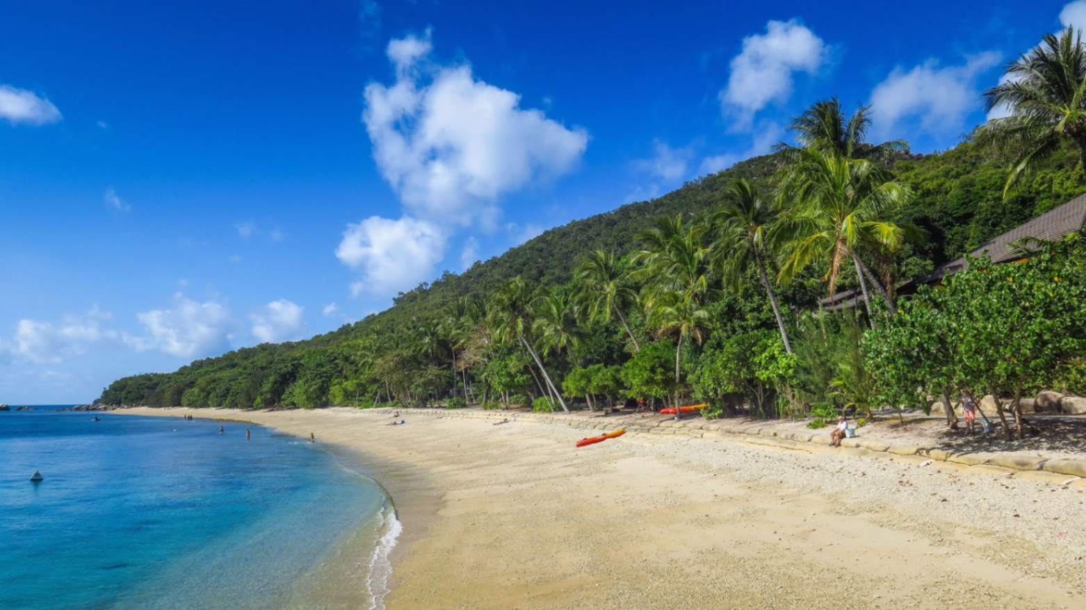 Sunny beach with palm trees at Fitzroy Island, Cairns