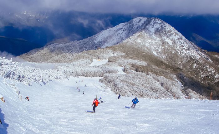澳大利亚滑雪胜地 Mt. Buller
